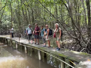 En un manglar, Camboya una experiencia