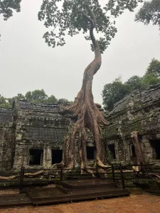 En los templos de Angkor