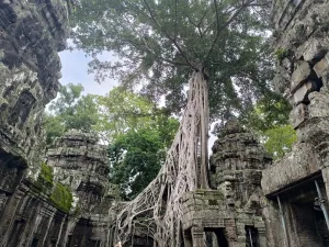 Templos de Angkor en Camboya