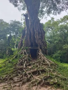 templos en un viaje especial en Camboya