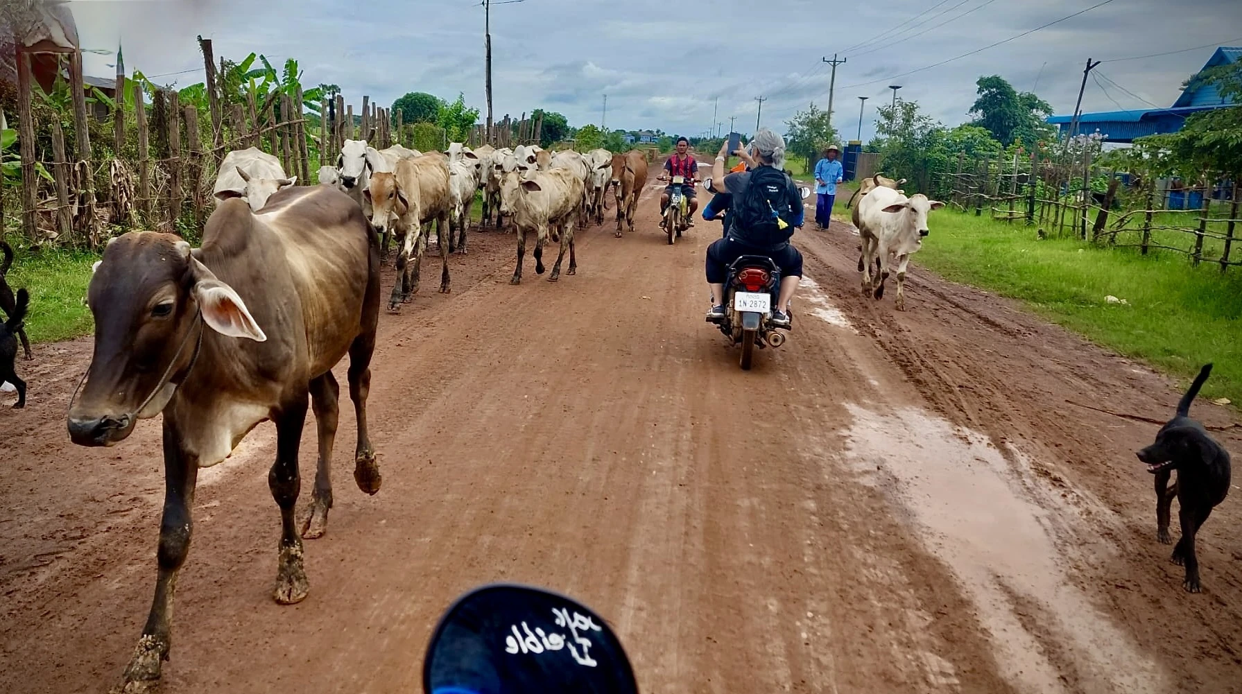 caminos rurales en un viaje irrepetible a Camboya